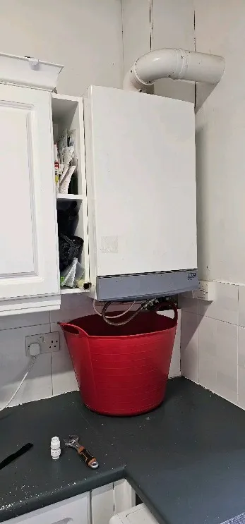 A red bucket sitting on top of a kitchen counter.