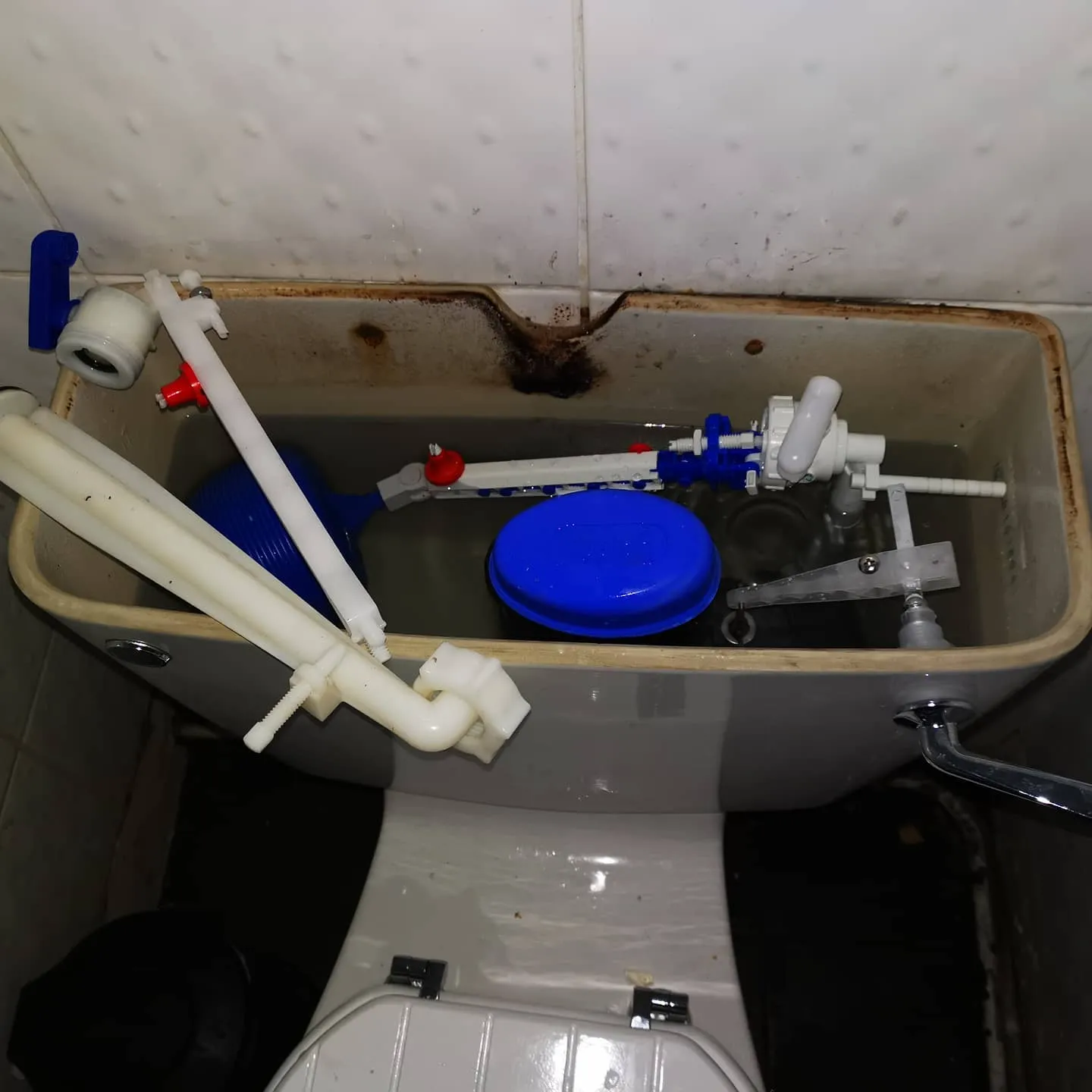 A toilet with a blue lid and some pipes.